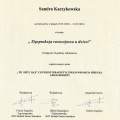 Powiększ obraz: certificate 12