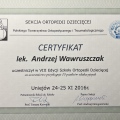 Powiększ obraz: certificate 29