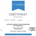 Powiększ obraz: certificate 7