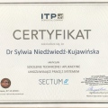 Powiększ obraz: certificate 9