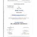 Powiększ obraz: certificate 11