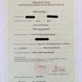 Powiększ obraz: certificate 1