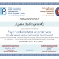 Powiększ obraz: certificate 2