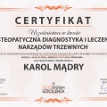 Powiększ obraz: certificate 10