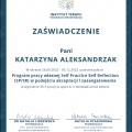 Powiększ obraz: certificate 4