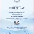 Powiększ obraz: certificate 2