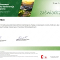 Powiększ obraz: certificate 63