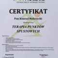 Powiększ obraz: certificate 14