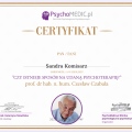 Powiększ obraz: certificate 13