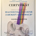 Powiększ obraz: certificate 3