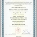 Powiększ obraz: certificate 3