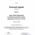 Powiększ obraz: certificate 14
