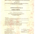 Powiększ obraz: certificate 6