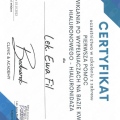 Powiększ obraz: certificate 4