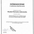 Powiększ obraz: certificate 5