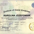 Powiększ obraz: certificate 3