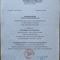 Powiększ obraz: certificate 8