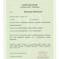 Powiększ obraz: certificate 23