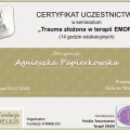Powiększ obraz: certificate 11