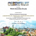 Powiększ obraz: certificate 16