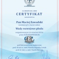 Powiększ obraz: certificate 3