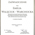 Powiększ obraz: certificate 9