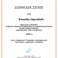 Powiększ obraz: certificate 3