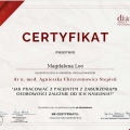 Powiększ obraz: certificate 4