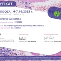 Powiększ obraz: certificate 11