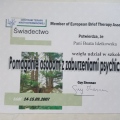 Powiększ obraz: certificate 9