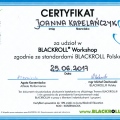 Powiększ obraz: certificate 23