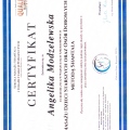 Powiększ obraz: certificate 9