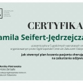 Powiększ obraz: certificate 8
