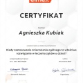 Powiększ obraz: certificate 20