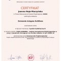 Powiększ obraz: certificate 13