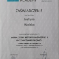 Powiększ obraz: certificate 2