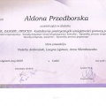 Powiększ obraz: certificate 10
