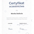 Powiększ obraz: certificate 29