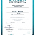 Powiększ obraz: certificate 2