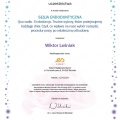Powiększ obraz: certificate 8