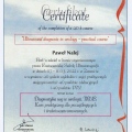 Powiększ obraz: certificate 3