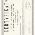 Powiększ obraz: certificate 4