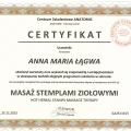 Powiększ obraz: certificate 9