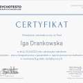 Powiększ obraz: certificate 3