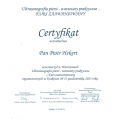 Powiększ obraz: certificate 7