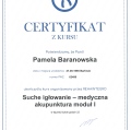 Powiększ obraz: certificate 11