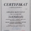 Powiększ obraz: certificate 7