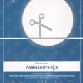 Powiększ obraz: certificate 8