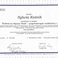 Powiększ obraz: certificate 6