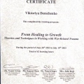 Powiększ obraz: certificate 2